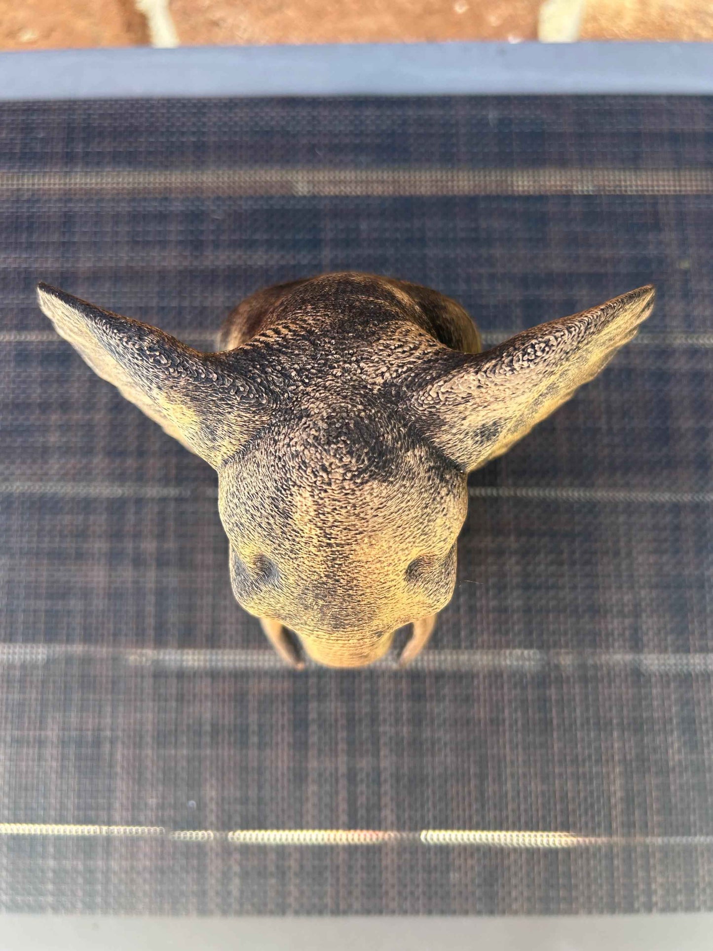 Elephant Bust - Hand-Painted, Customizable, 3D Printed