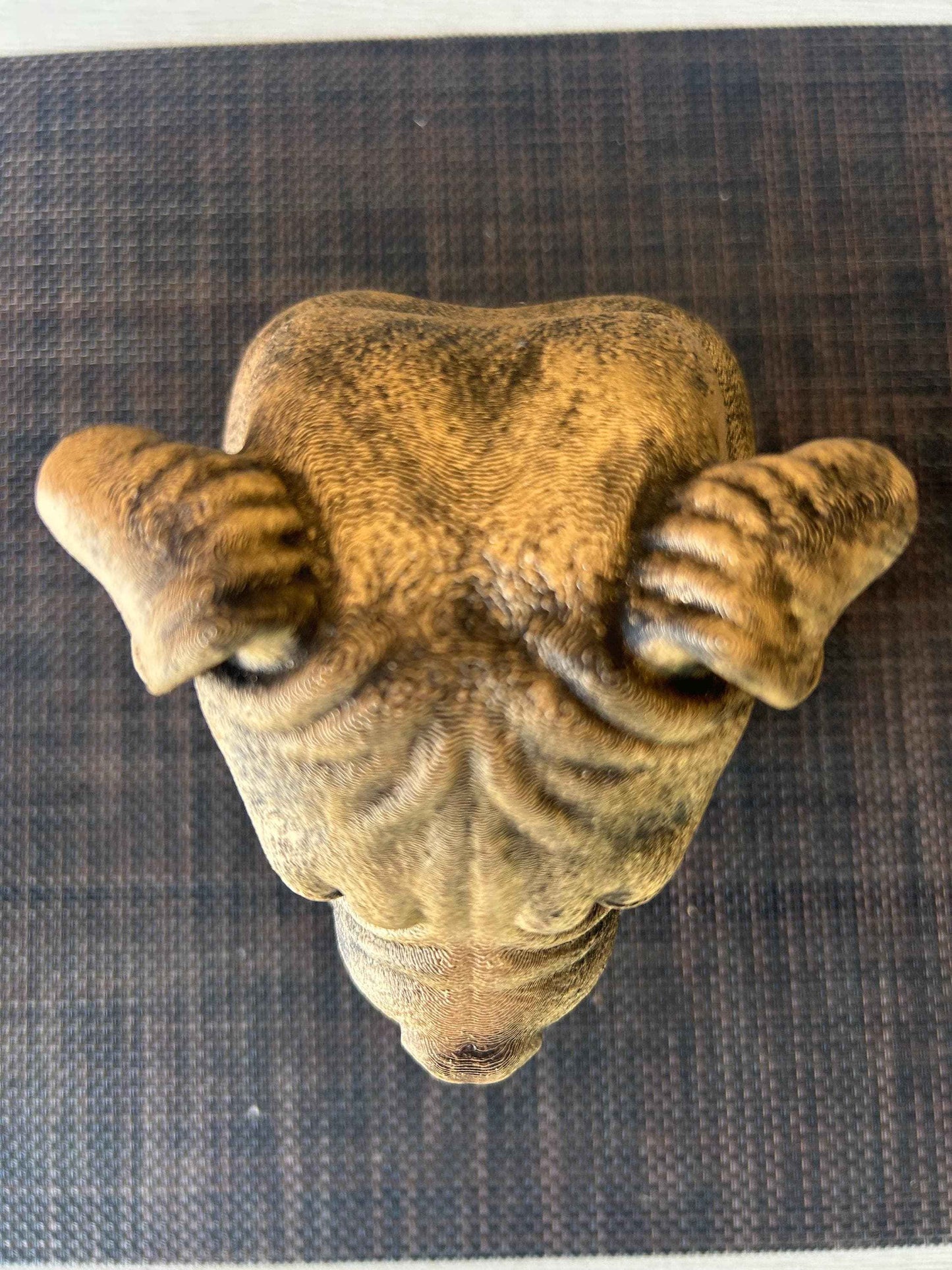 American Bully Natural Ears Bust - Hand-Painted, Customizable, 3D Printed