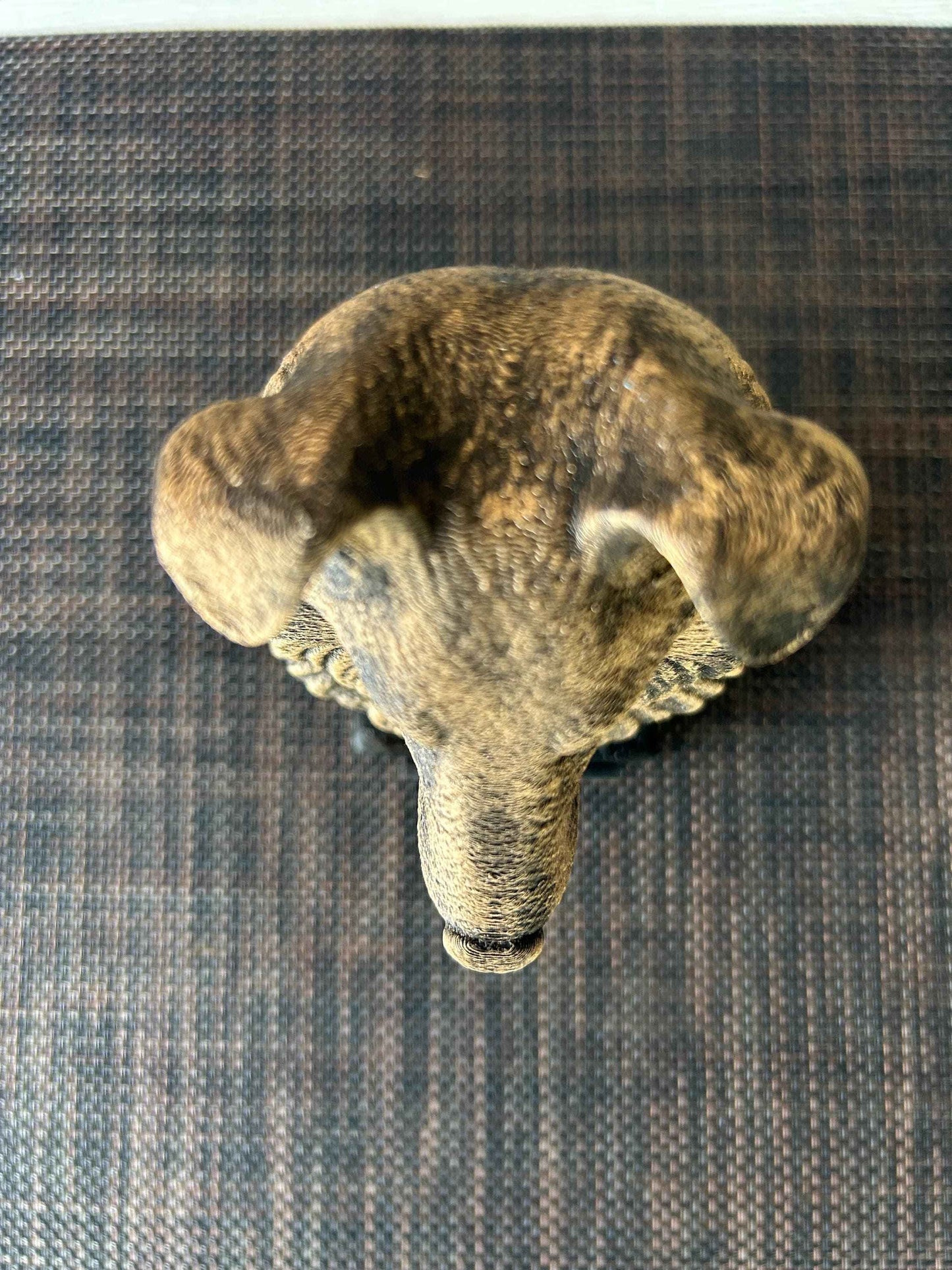 Shetland Sheepdog Bust - Hand-Painted, Customizable, 3D Printed