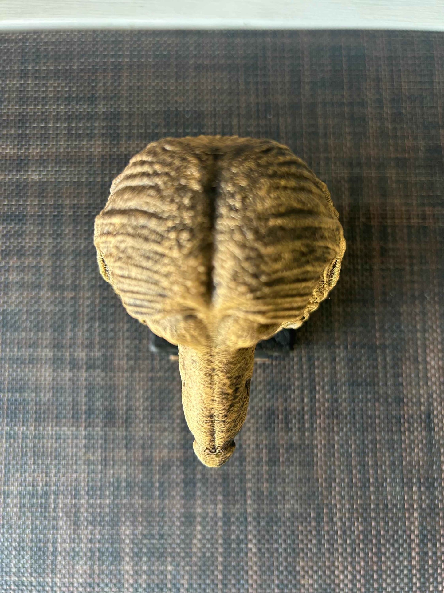 Afghan Hound - Hand-Painted, Customizable, 3D Printed