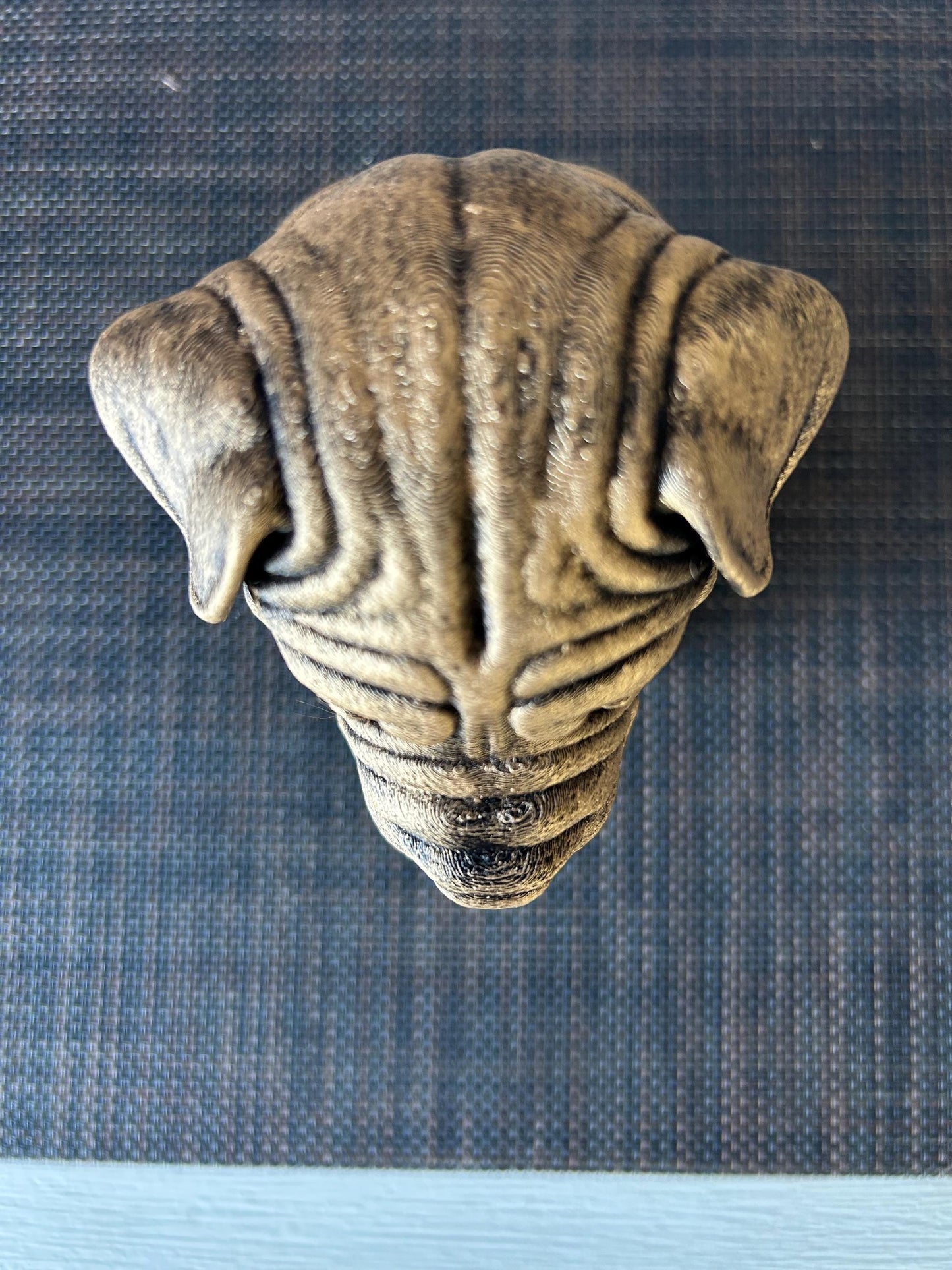 Shar Pei Bust - Hand-Painted, Customizable, 3D Printed