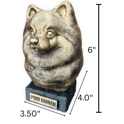 Pomeranian Bust  - Hand-Painted, Customizable, 3D Printed
