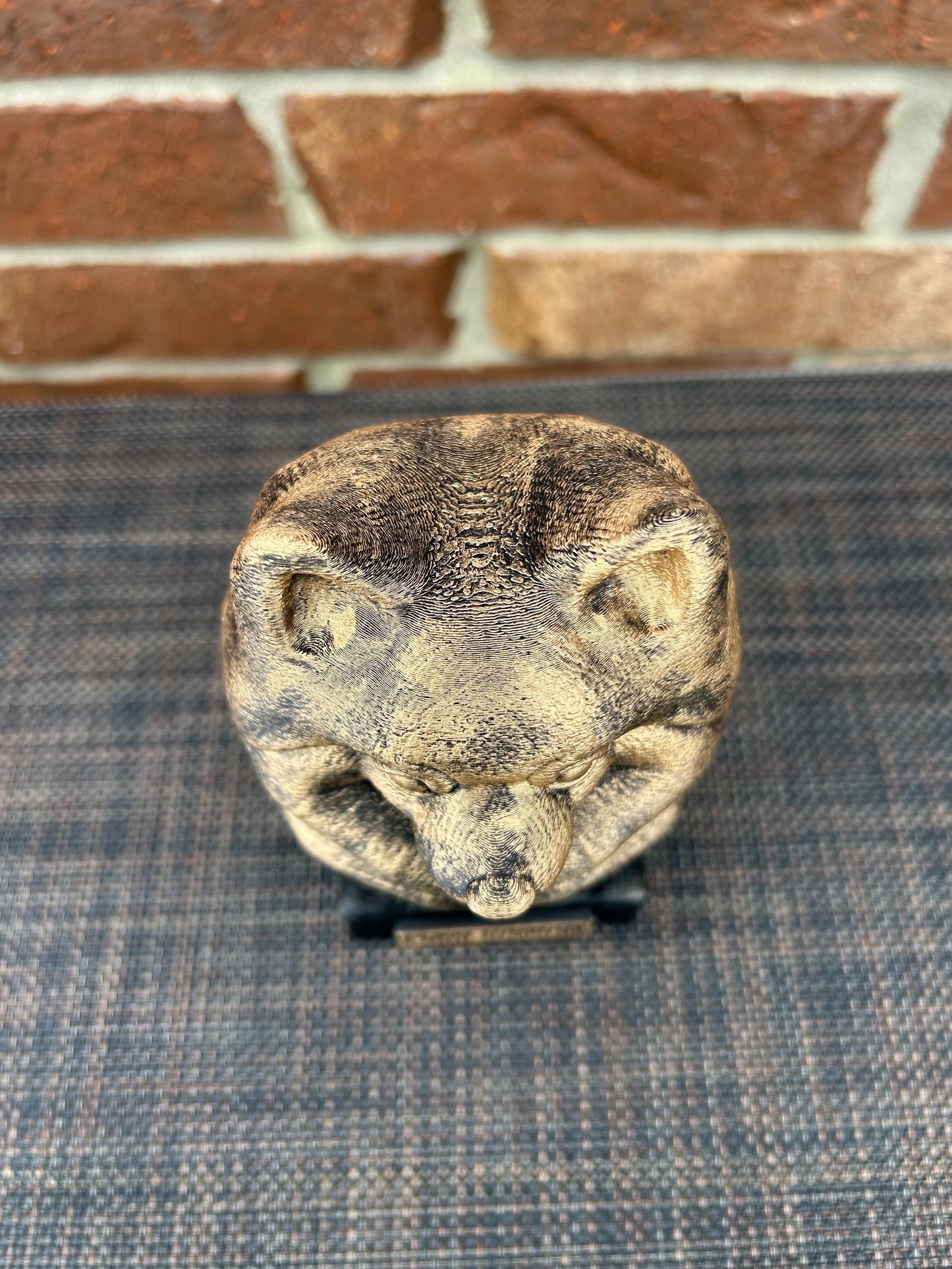 Pomeranian Bust - Hand-Painted, Customizable, 3D Printed