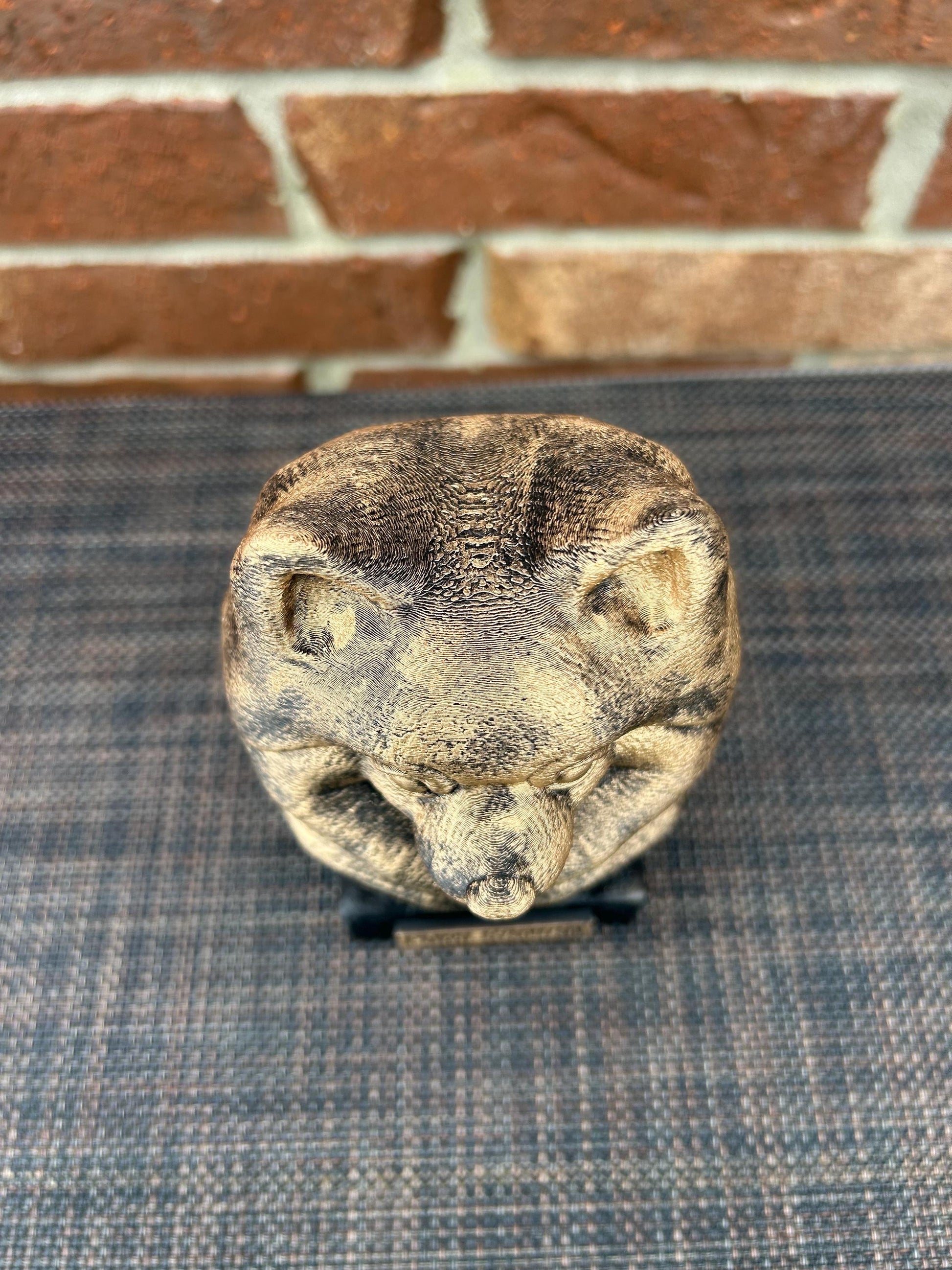 Pomeranian Bust - Hand-Painted, Customizable, 3D Printed