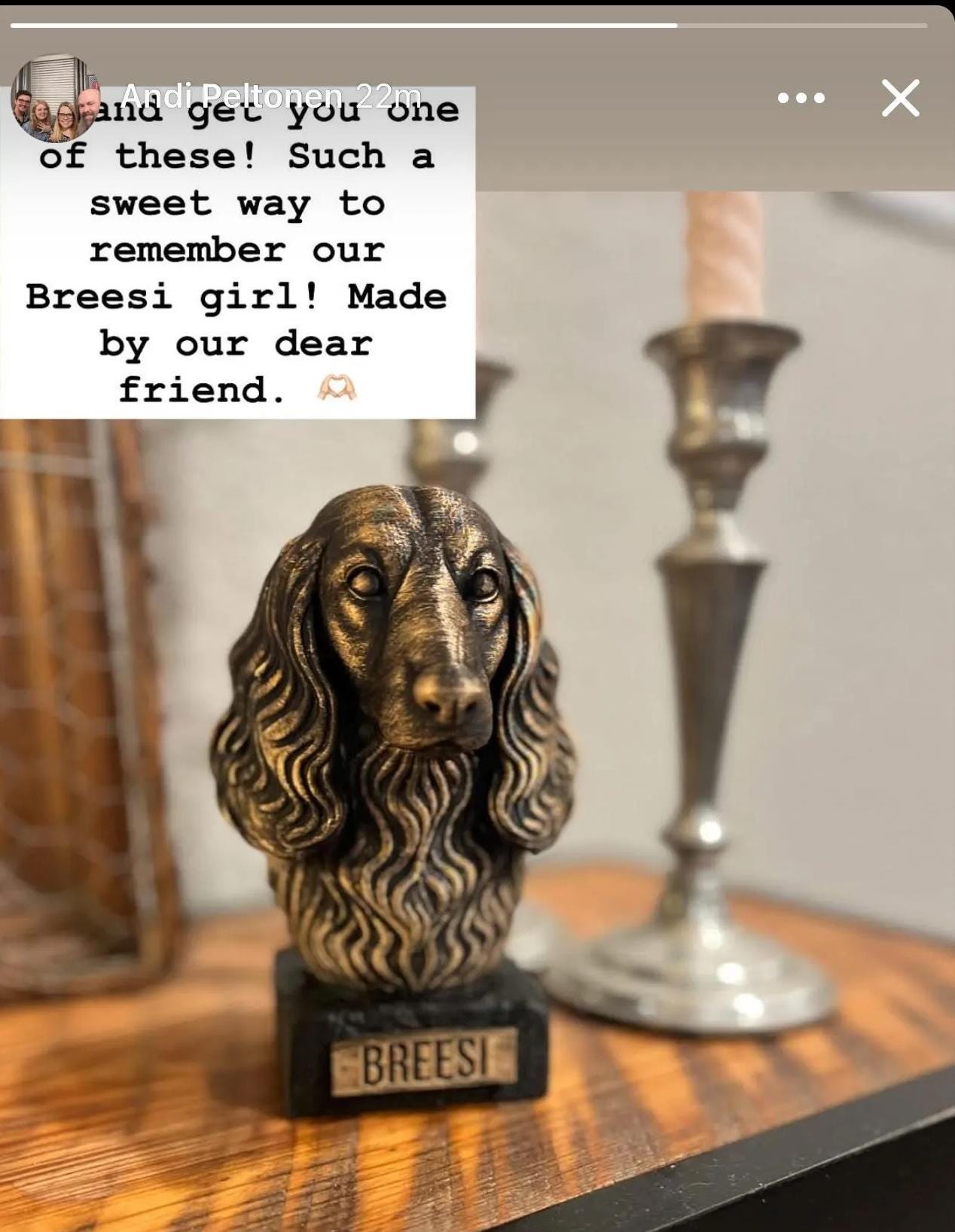 Long haired Dachshund Bust - Hand-Painted, Customizable, 3D Printed