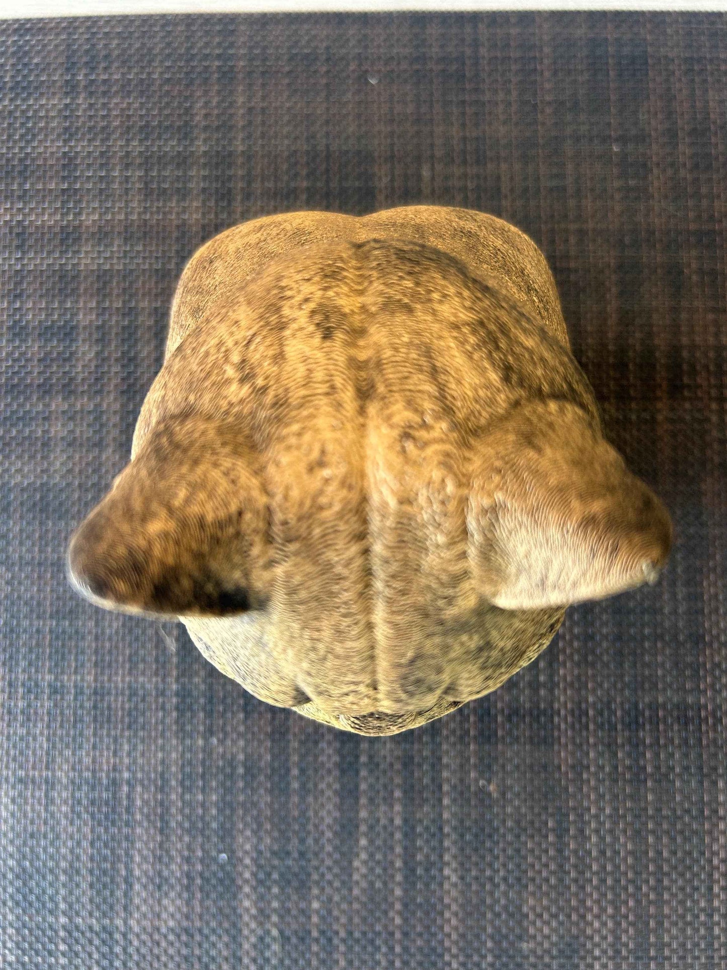 British Shorthair Bust  - Hand-Painted, Customizable, 3D Printed