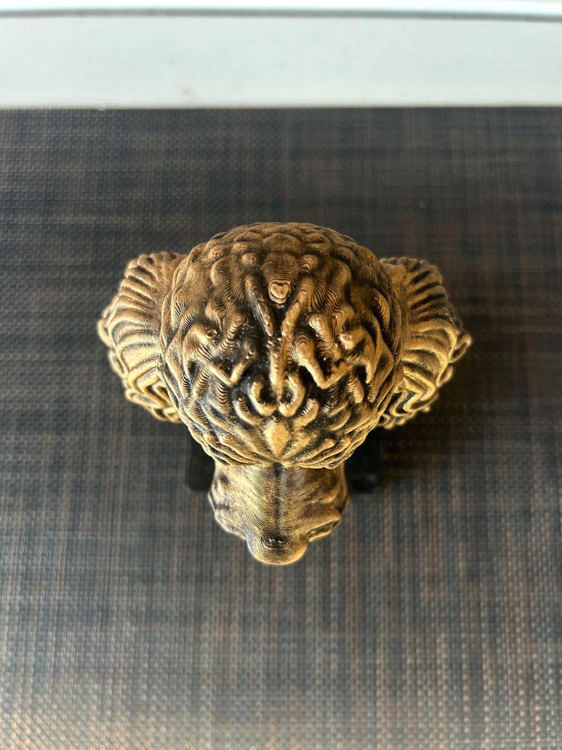 Miniature Poodle Bust - Hand-Painted, Customizable, 3D Printed