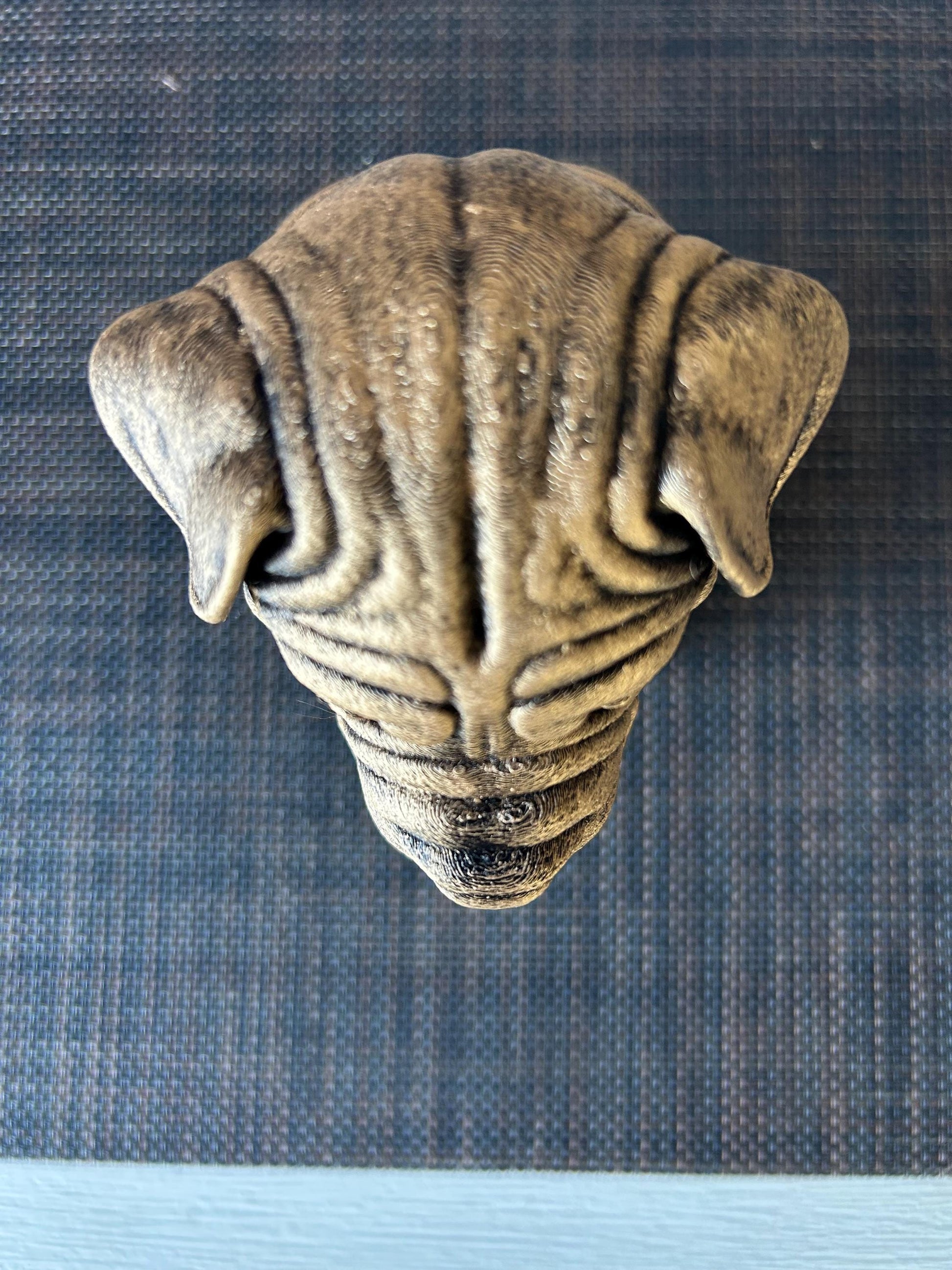 Shar Pei Bust - Hand-Painted, Customizable, 3D Printed