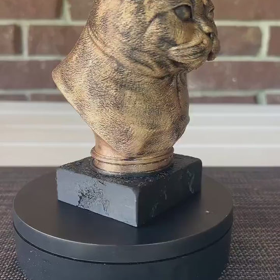 British Shorthair Bust  - Hand-Painted, Customizable, 3D Printed