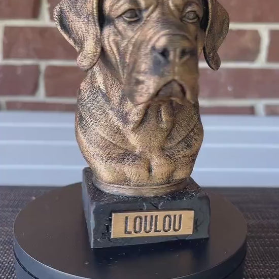 Cane Corso Natural Ears Bust  - Hand-Painted, Customizable, 3D Printed