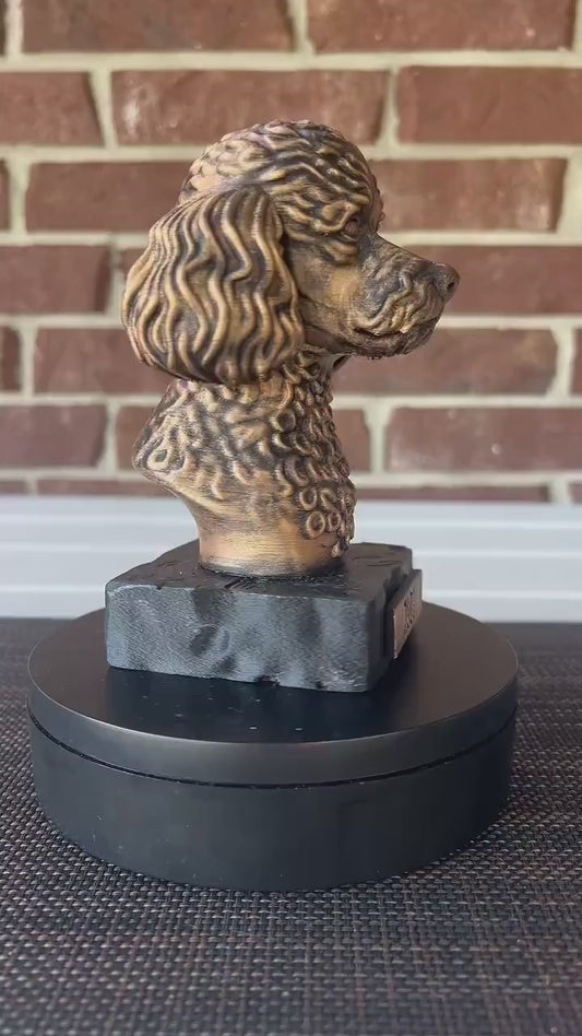 Miniature Poodle Bust  - Hand-Painted, Customizable, 3D Printed