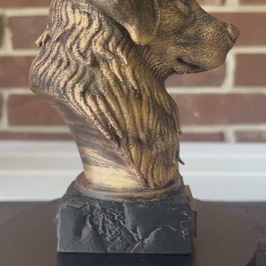 Bernese Mountain Bust  - Hand-Painted, Customizable, 3D Printed