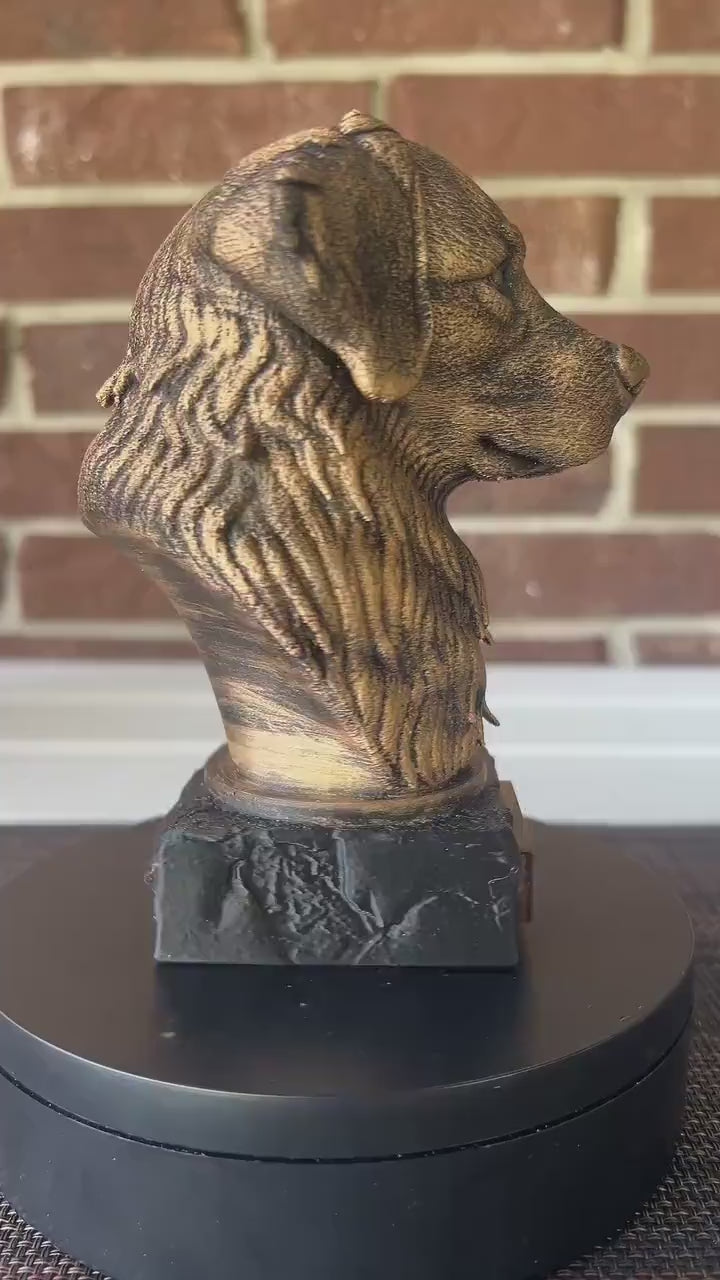 Bernese Mountain Bust  - Hand-Painted, Customizable, 3D Printed