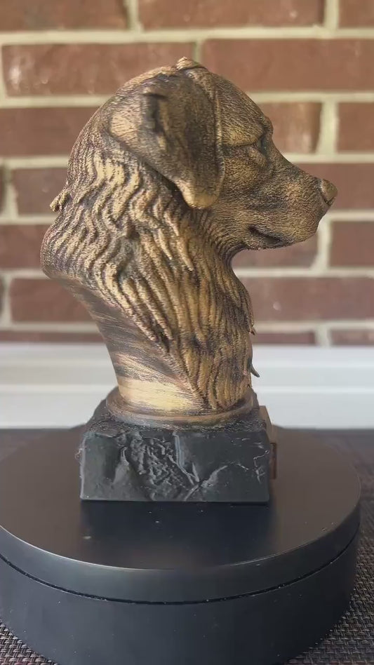 Bernese Mountain Bust  - Hand-Painted, Customizable, 3D Printed