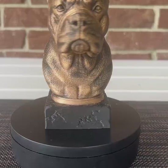 Cane Corso Bust  - Hand-Painted, Customizable, 3D Printed